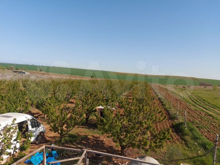 Участок 4 га (СНТ, ДНП)