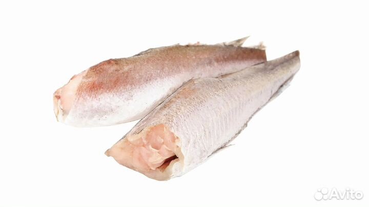 Рыба Бротолла свежемороженая