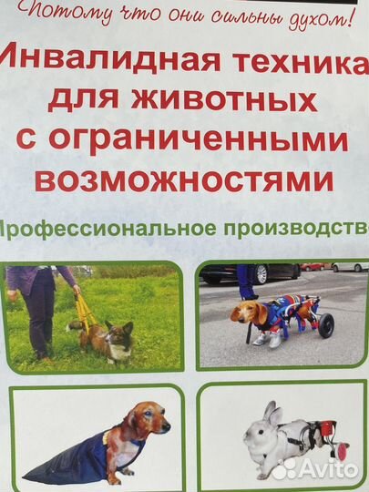 Инвалидная коляска для животных маленькая