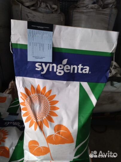 Семена Подсолнечника гибрид