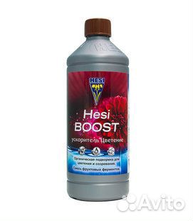 Hesi Boost