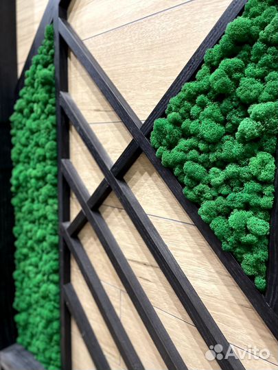 Стабилизированный мох Мох ягель