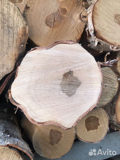 Бревна Пиловочник Береза Кругляк