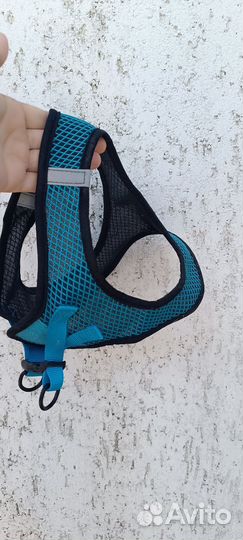 Ошейник и шлейка