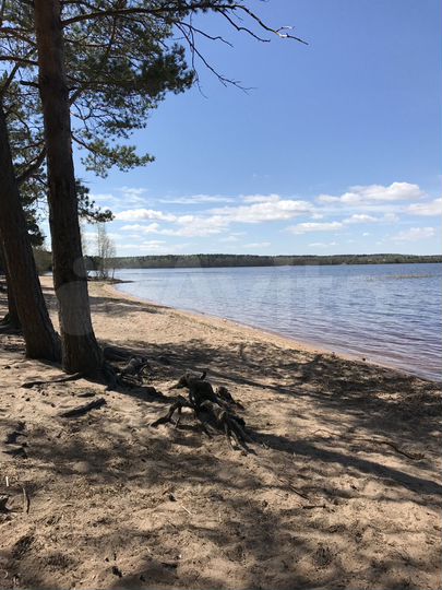 Дача 120 м² на участке 12 сот.