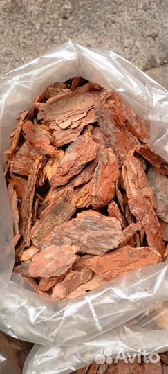 Алтайская кора сосны в наличии