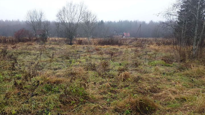 Участок 15 сот. (ИЖС)