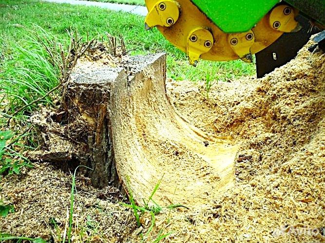 Эффективное удаление пней: быстро и надежно