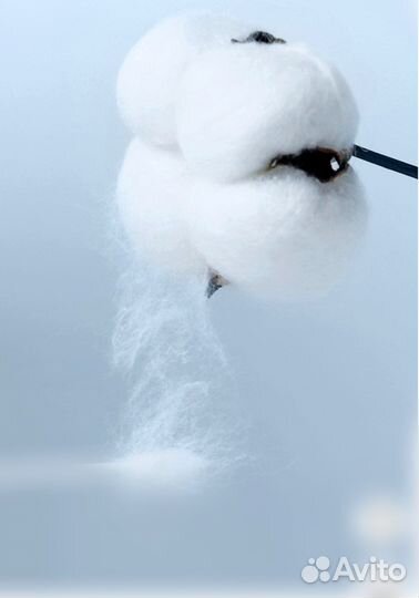 Цветные ушные палочки