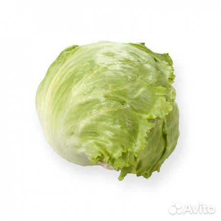 Семена Салата 