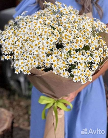 Цветы ромашки. Букеты ромашек. Цветы доставка