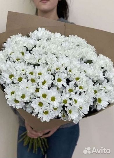 Хризантема Доставка цветов Букеты