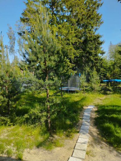 Дом 100 м² на участке 9,3 сот.