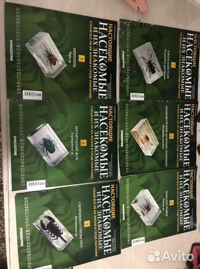 Журнал насекомые и их знакомые