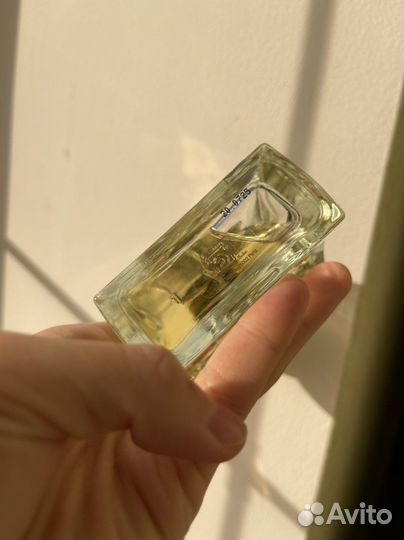 La sultane de saba духи