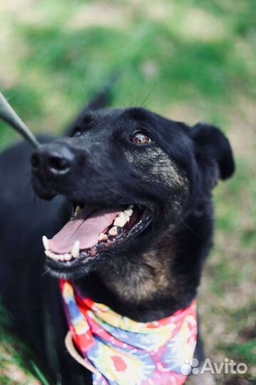 Гера ждёт своего Человека