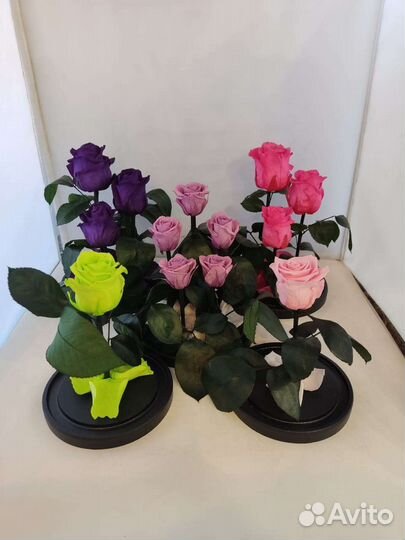 Роза в колбе оптом