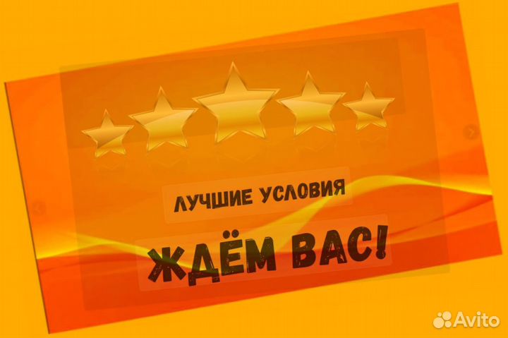 Сортировщик Еженедельный аванс Спецодежда М/Ж