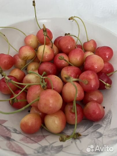 Черешня вишня с доставкой