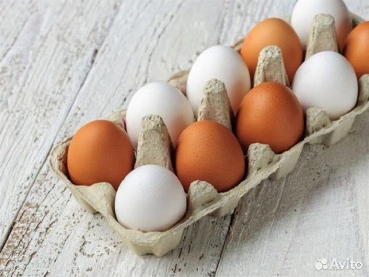 Домашние куриные яйца