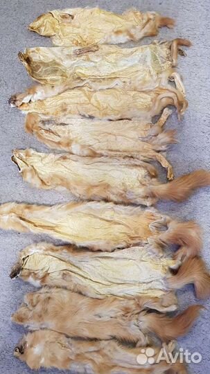 Шкурки хорька