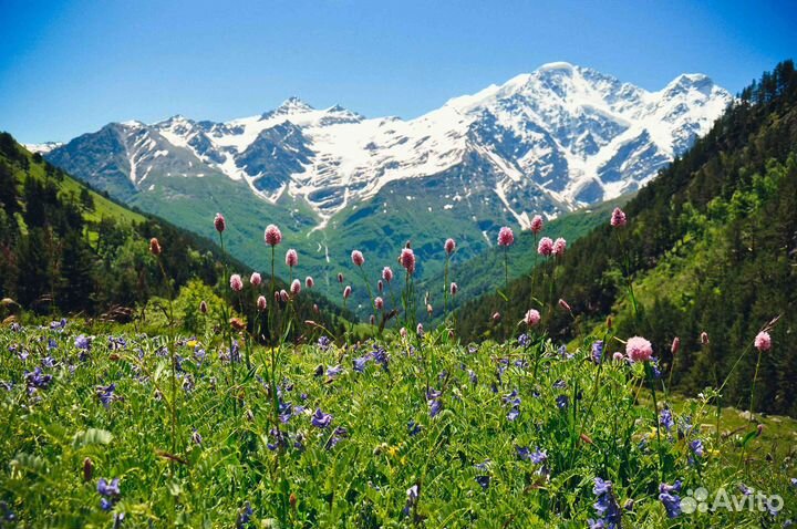 25мая24 тур Сокровища Северного Кавказа рэ3014