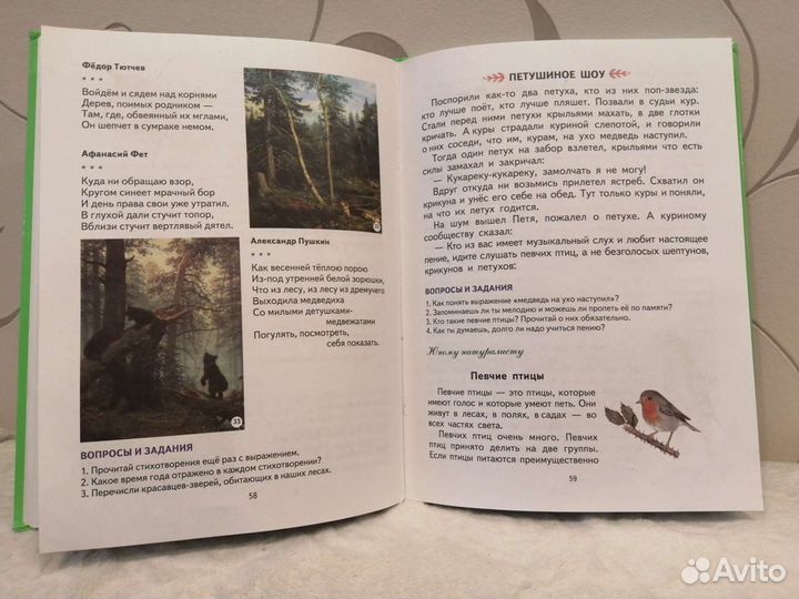 Книга. Н. С. Жукова 