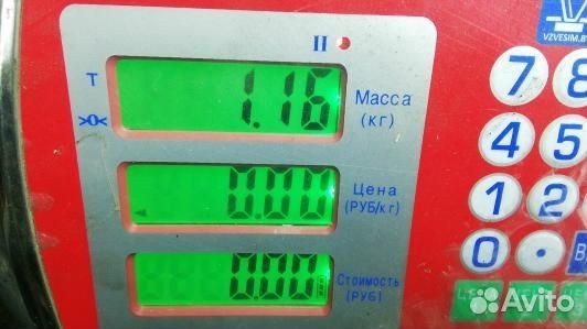 Блок управления двс seat leon 2 (93N10PC01)