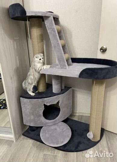 Домики, комплексы,когтеточки для кошек, выс.1,3м
