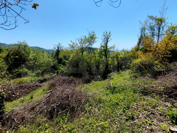 Участок 4 сот. (ИЖС)