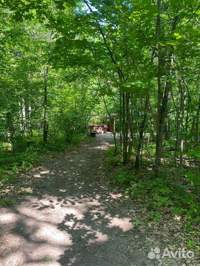 Аренда теплой беседки, лазертаг, выездной лазертаг