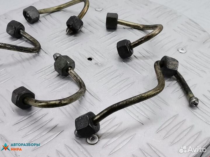 Трубка топливная Renault Laguna 2 2004 8200600509