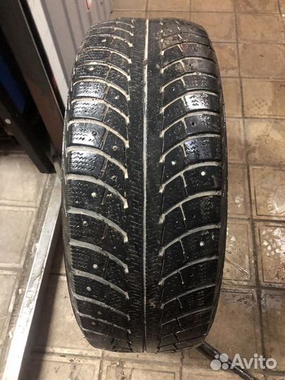 Gislaved Nord Frost 5 205/65 R15