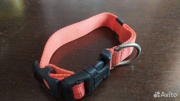 Ошейник для собак