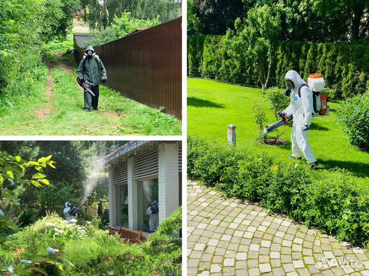 Обработка участка от клещей, дезинфекция