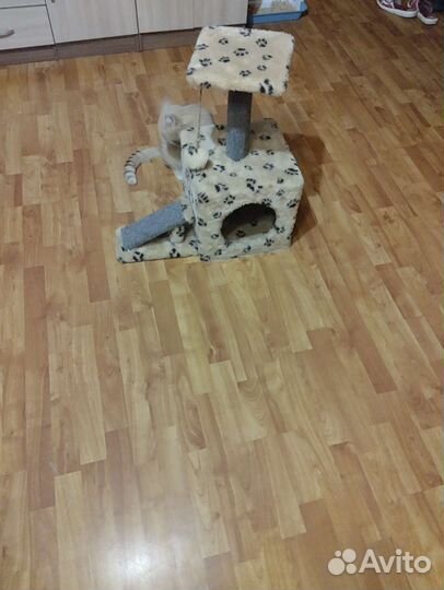 Домик лежанка для кошки и собаки