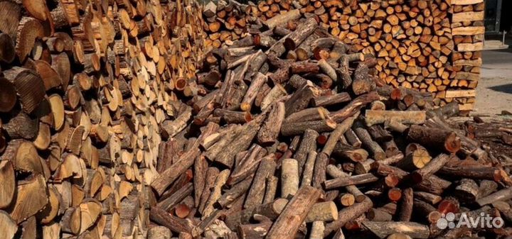 Дрова в область