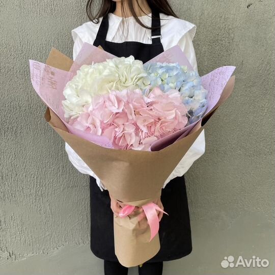 Гортензии, цветы Гортензии с доставкой