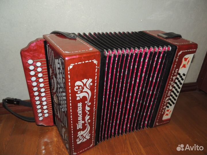 Гармони Тульские 301