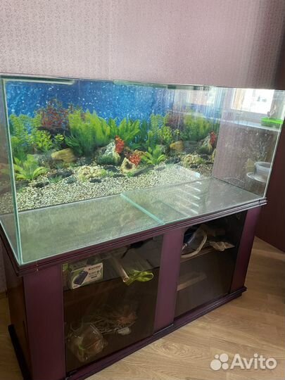 Аквариум (320 л)