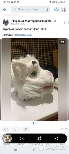 Фурсьют кота