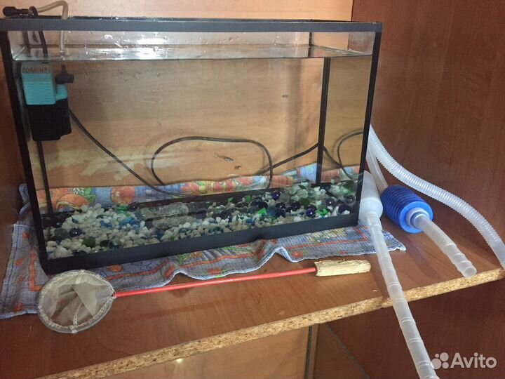 Аквариум готовый