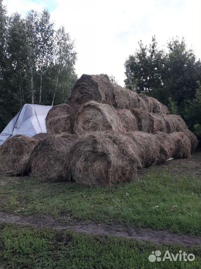 Сено в рулонах