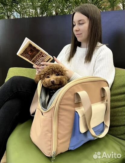 Переноска для собак