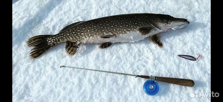 Рыбалка с Panoptix на Рыбинском Водохранилище