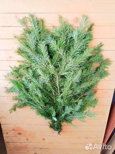 Банные веники и травы