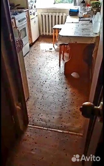 Дезинсекция от тараканов и клопов с гарантией