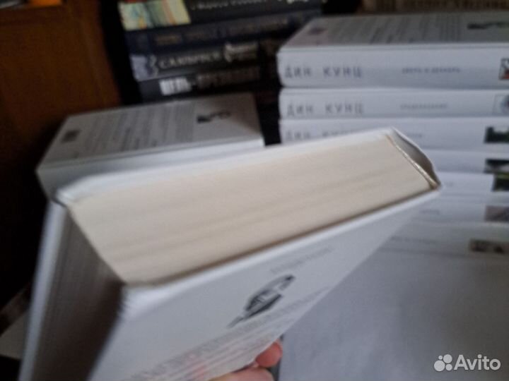 Дин Кунц Зимняя луна