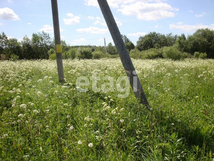 Участок 19 сот. (личное подсобное хозяйство (лпх))