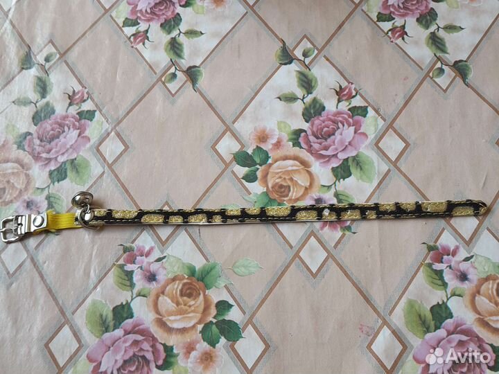 Ошейник+шлейка+поводок